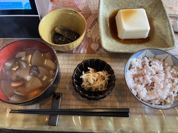 Rice, tofu, veggie soup, cucumber, and other goodies